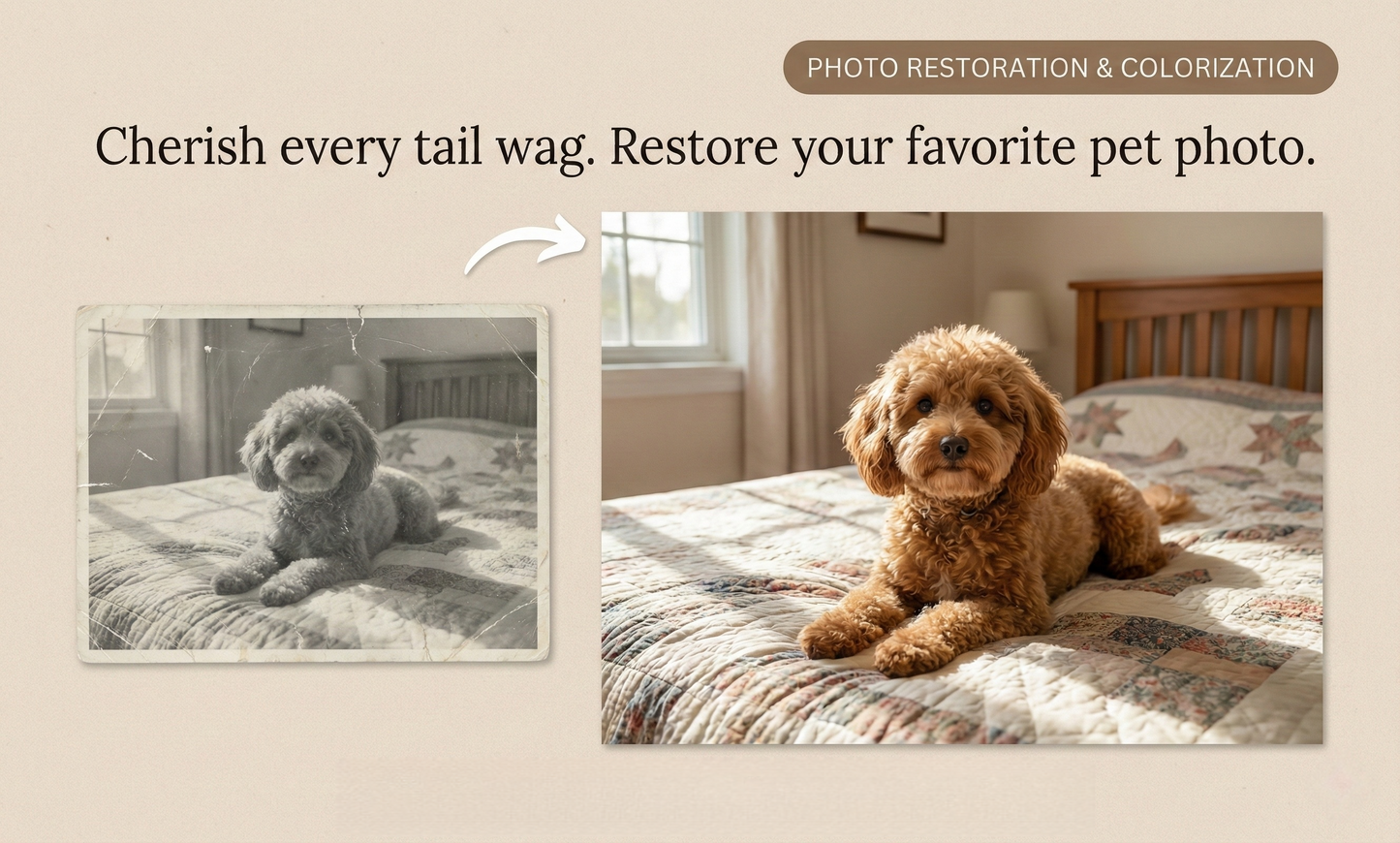 Professional Old Photo Restoration & Colorization - Repair Damaged, Faded, Scratched Pictures